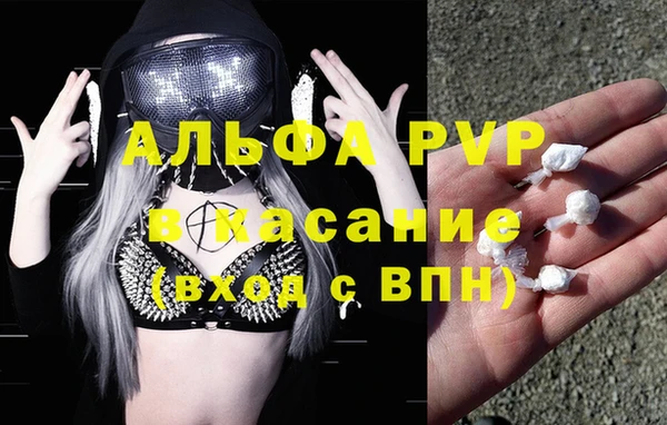 гашик Баксан